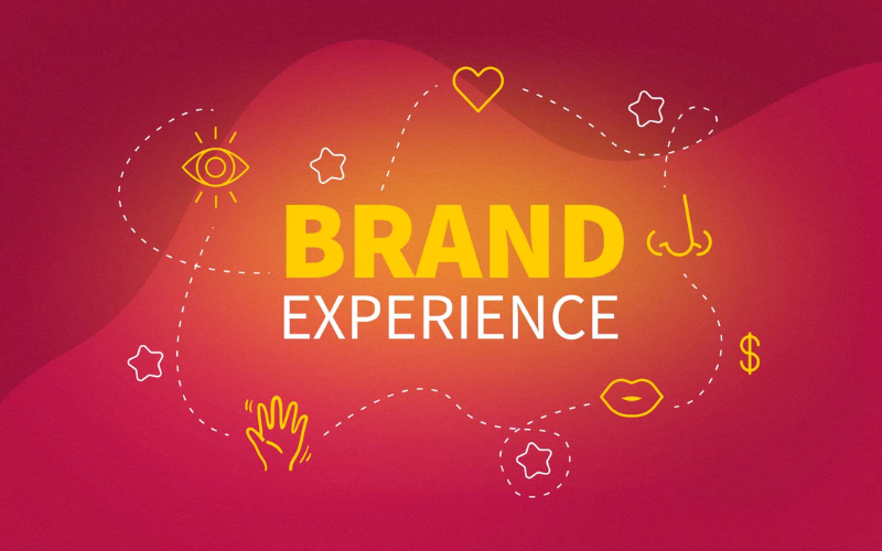 Quản lý trải nghiệm thương hiệu (Brand experience management): Tối ưu hóa tương tác và xây dựng lòng trung thành khách hàng