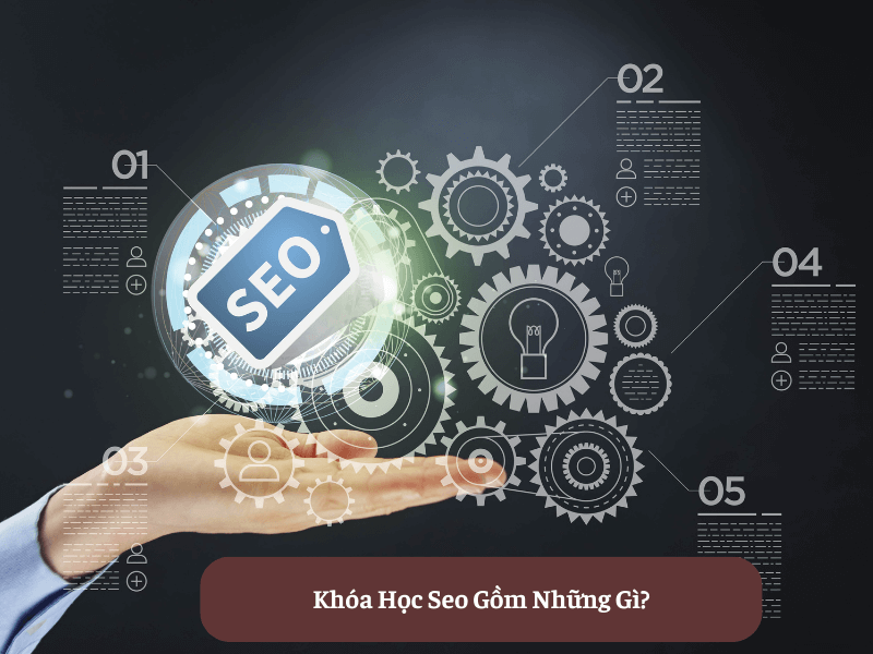 Dịch Vụ SEO Đắk Lắk