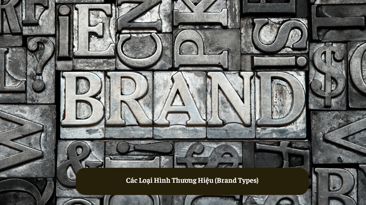 Các Loại Hình Thương Hiệu (Brand Types) - Giải Mã Sức Mạnh Thương Hiệu
