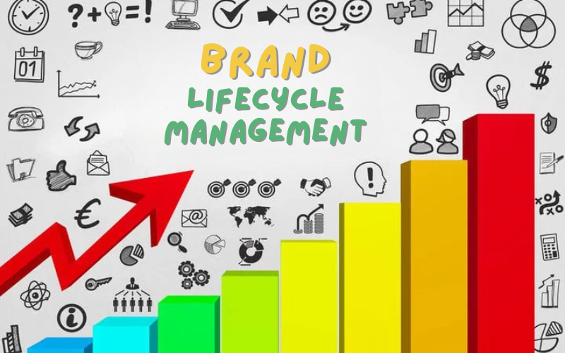 Quản lý vòng đời thương hiệu (Brand lifecycle management): Thay đổi cuộc chơi đột phá