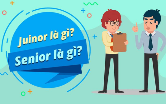 Senior là gì? Intern, Fresher, Junior, Senior là gì? Có gì khác biệt