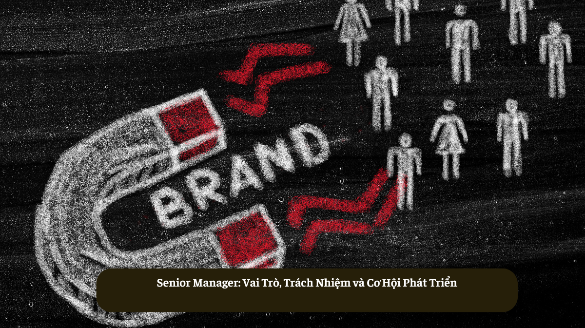 Senior Brand Manager: Vai Trò, Trách Nhiệm Và Con Đường Sự Nghiệp
