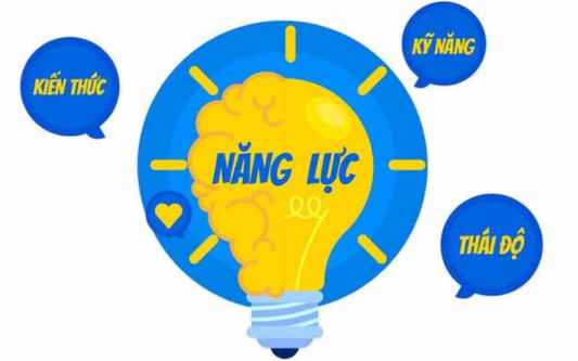 Năng lực là gì? Yếu tố cấu thành và cách đánh giá năng lực