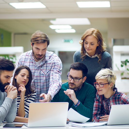 Sales Team Operation and Market Development Services