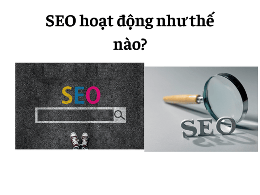 Dịch Vụ Mua Hosting Cho Website